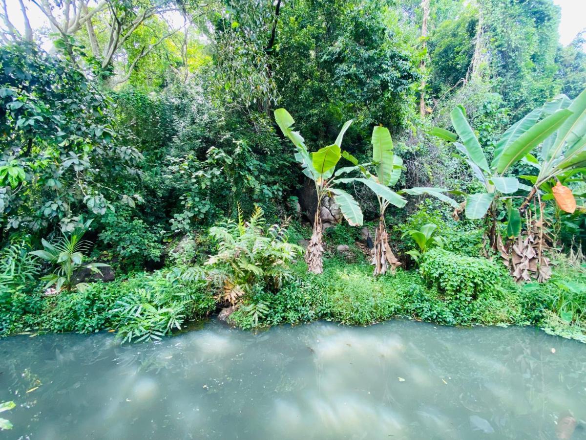 Nature Villa Unawatuna Galketiya Екстер'єр фото