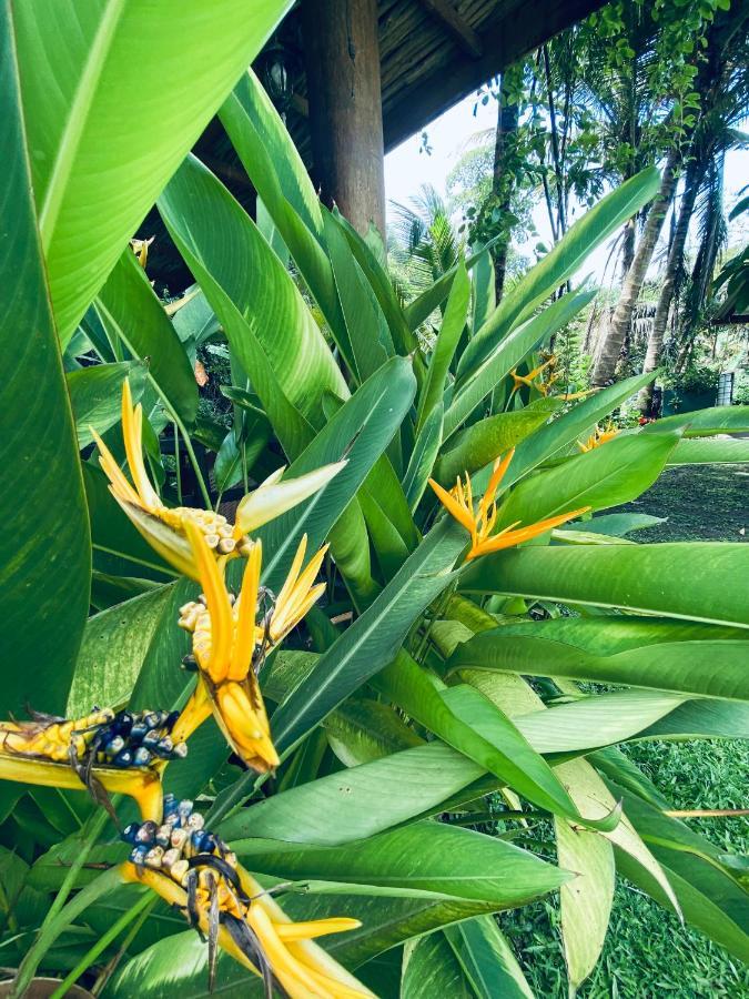 Nature Villa Unawatuna Galketiya Екстер'єр фото